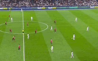 Nov-06-2024 06-39-22.gif